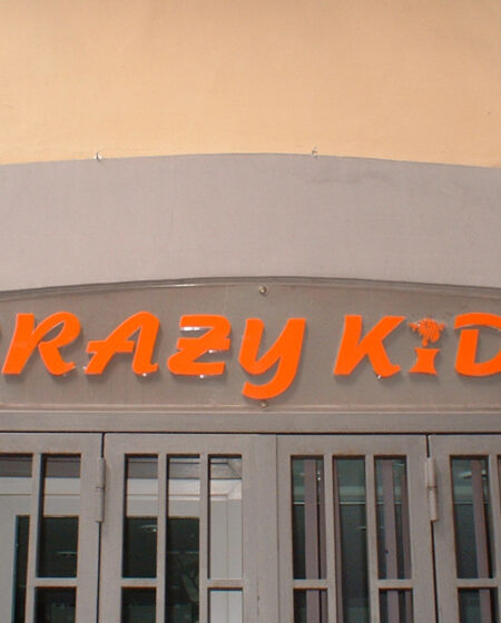 Crazy Kids