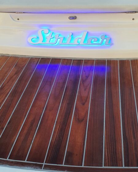 Strider